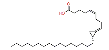 Amphimic acid A